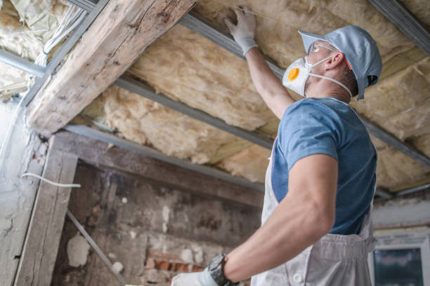 Best Specialty Insulation in Gautier, MS