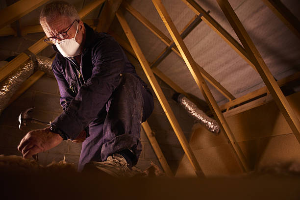 Best Insulation for Specific Applications in Gautier, MS