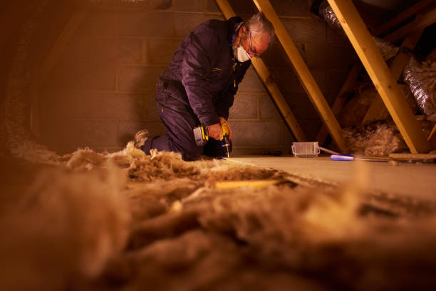Best Insulation Installation Services in Gautier, MS